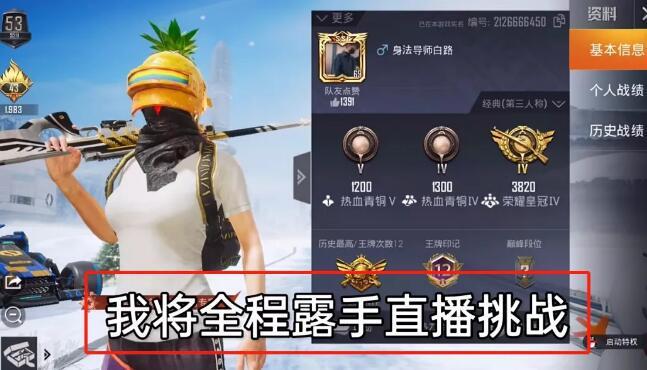 和平精英《牛魔王》直装辅助支持最新版本游戏使用